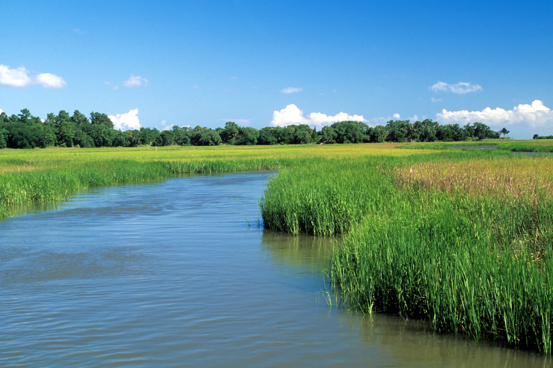 A tidal creek winds through open salt marsh grass under a clear sky.